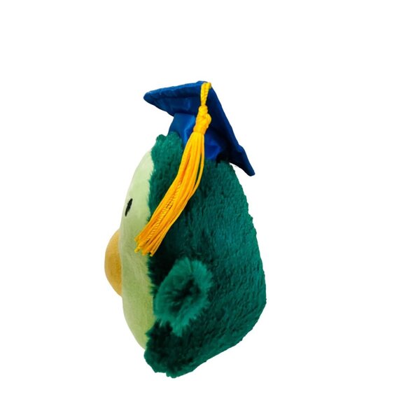 Goffa Graduation Plush Avocado Toy Green - Picture 2 of 4